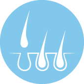 FUE Hair Transplant